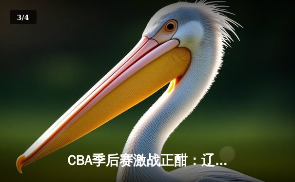 CBA季后赛激战正酣：辽宁本钢加时险胜广东宏远 赵继伟37分创生涯新高 - 3